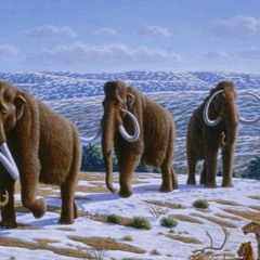mammoth 3.0