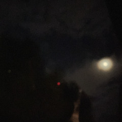 sleepwalkin