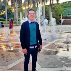 Taha Elwardany