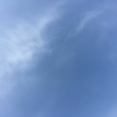 D3N