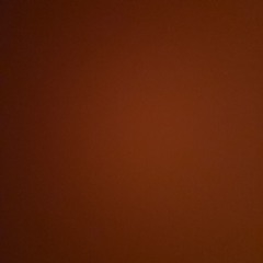 쓰나미 카멜 주인장