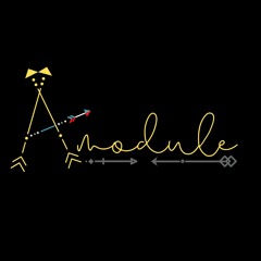 A module