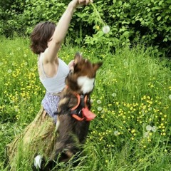 philosoph1444 🪽 ☾☉☽