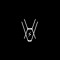 VASHX