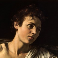 troglodyte