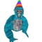 Chasezilla27