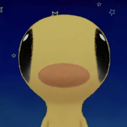 나라’s avatar