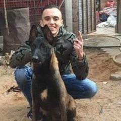 Ammar Tarek