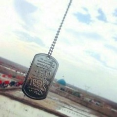 يا حبيبَ الخاتَم (إلّا الحسين)   الرّادود حسن عميص   هيئة الرّوضتين