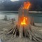 torch&timber