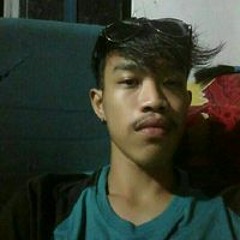Duall Slankers Duall Slankers