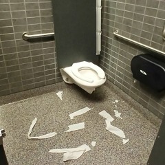Toilet with paper on the ground and a stall piece.