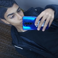 hamo Elshamy