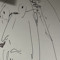 symbiont
