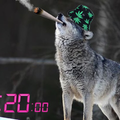 Wolf On Weed