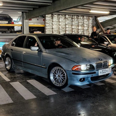 VolkovE39
