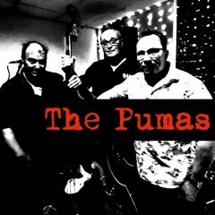 The Pumas