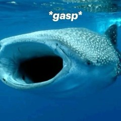 ▂▃▄▅▆▇█▓▒░ 🥬lettucestarrdrop🥬░▒▓█▇▆▅▄▃▂