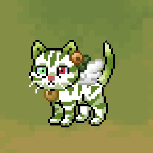 Drako the cat’s avatar