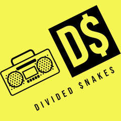 Divided Snakes