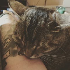 “Twin Size Mattress” Cover