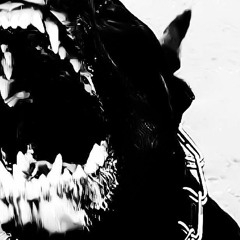SolidDogy5515