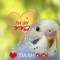 Tia Sh