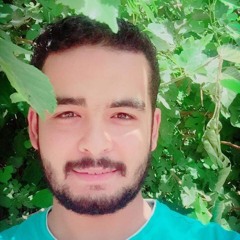 mohamed nasser