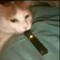 EmoBxnnyGxrl/Avianne