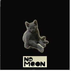 No The Moon