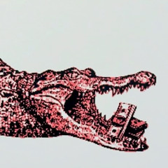Caiman