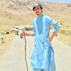 Cadet__ZeHri