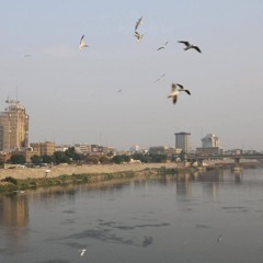 الدرويش الصغير