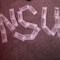 nsufanpage
