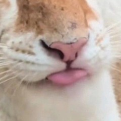 Haux