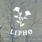 Liphø