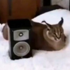 Mitsie