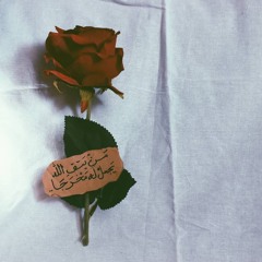 Shaimaa Medhat
