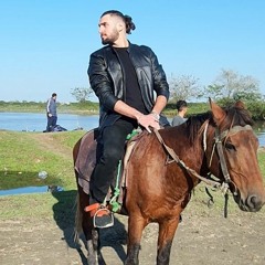 alireza darabi