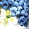 blueberryarizona