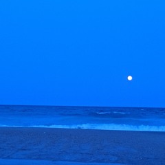 Sunny ocean