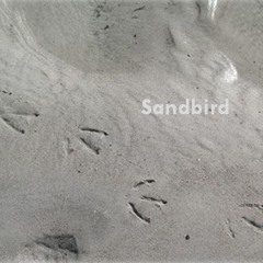 Sandbird