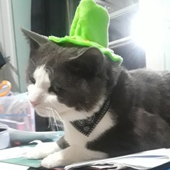 AlertIntruderOfficial