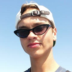 Pieter_Brouwer