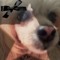 𒁂 𝐌𝐬𝐫 I𝐫i𝐬hk𝐚𒁂