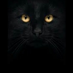 Villian X