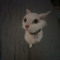 User 235113022