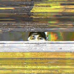 AN ERROR OCCURRED