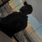 IG: its_Shawn_Bruv