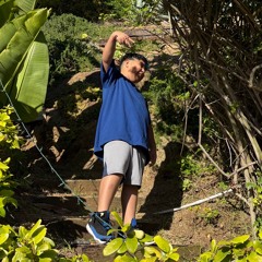 Lil King